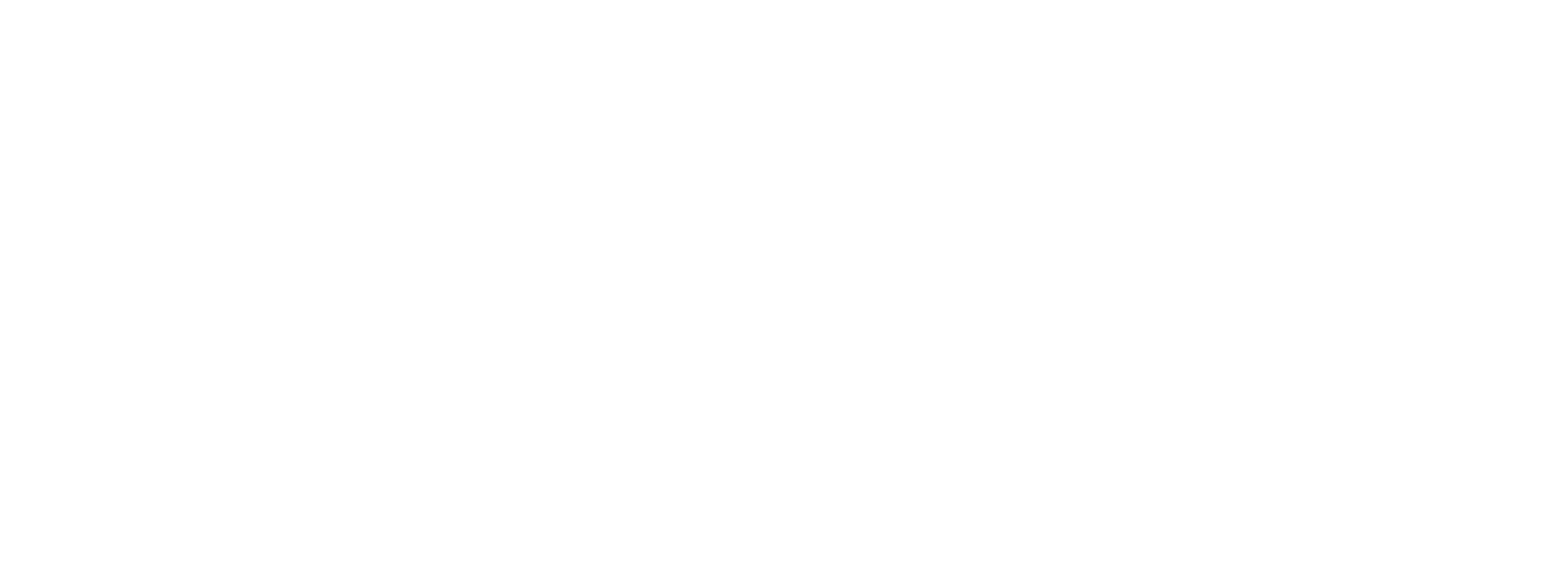 Dr. One light mono logo PNG