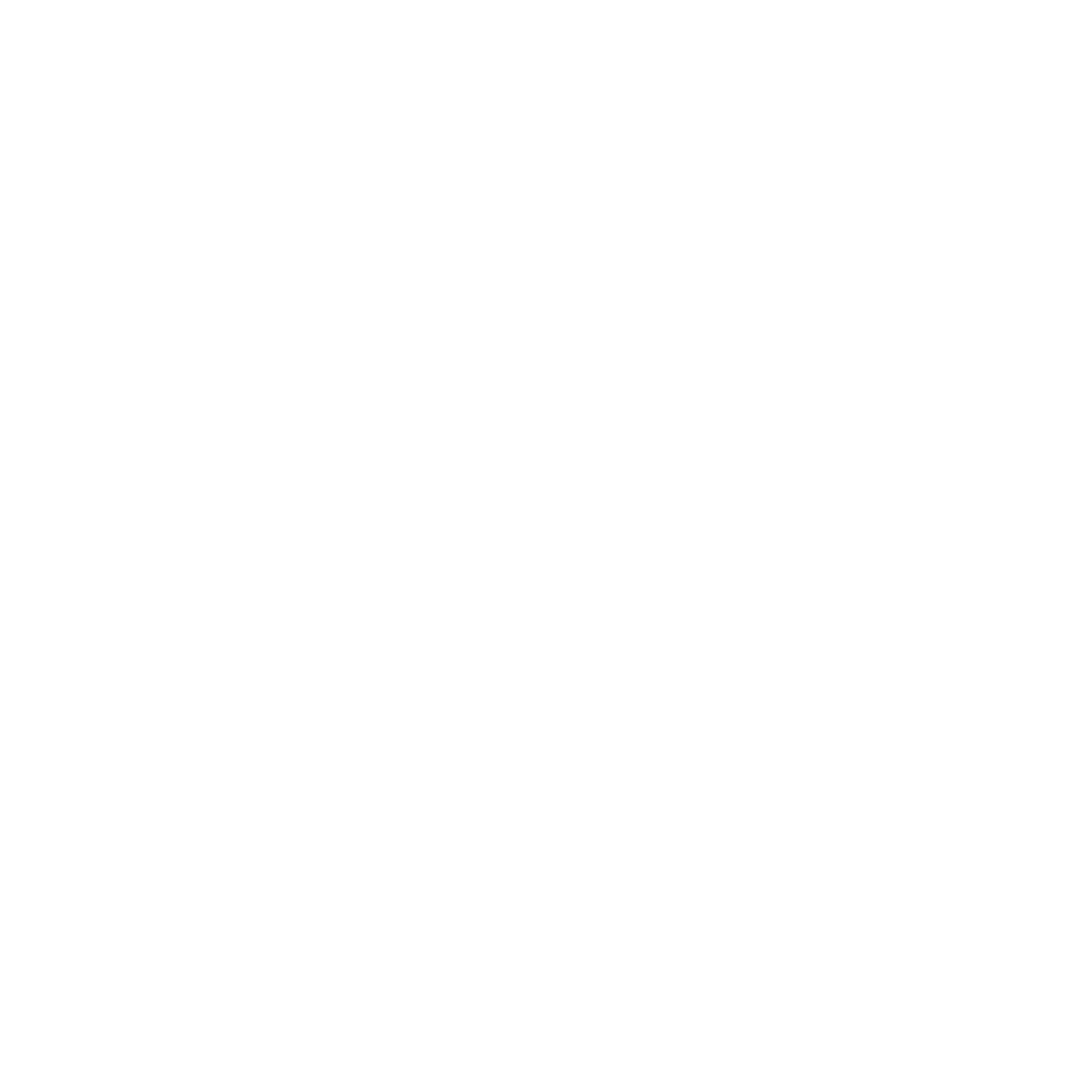Drop Point white logo