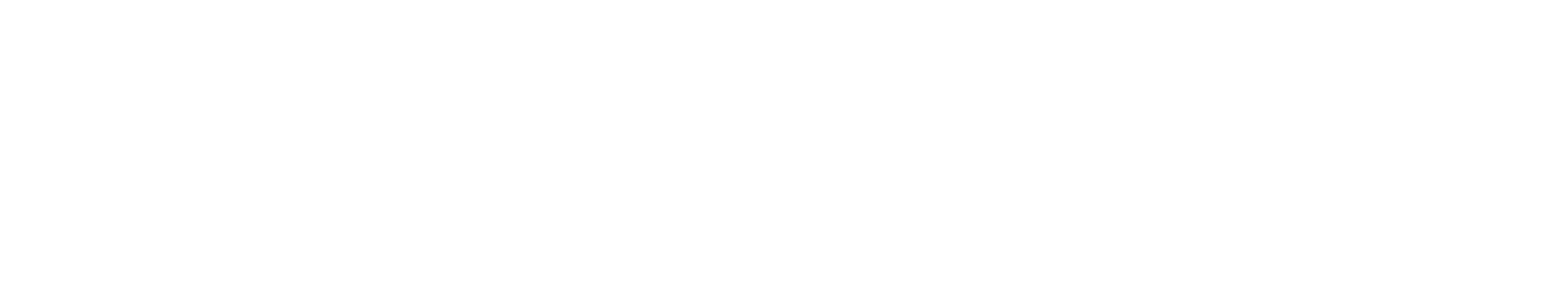 Tiny Indie Studio white logo